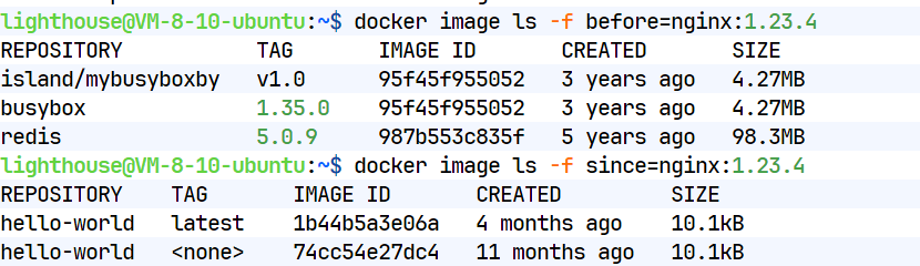 image-20251219225818868
