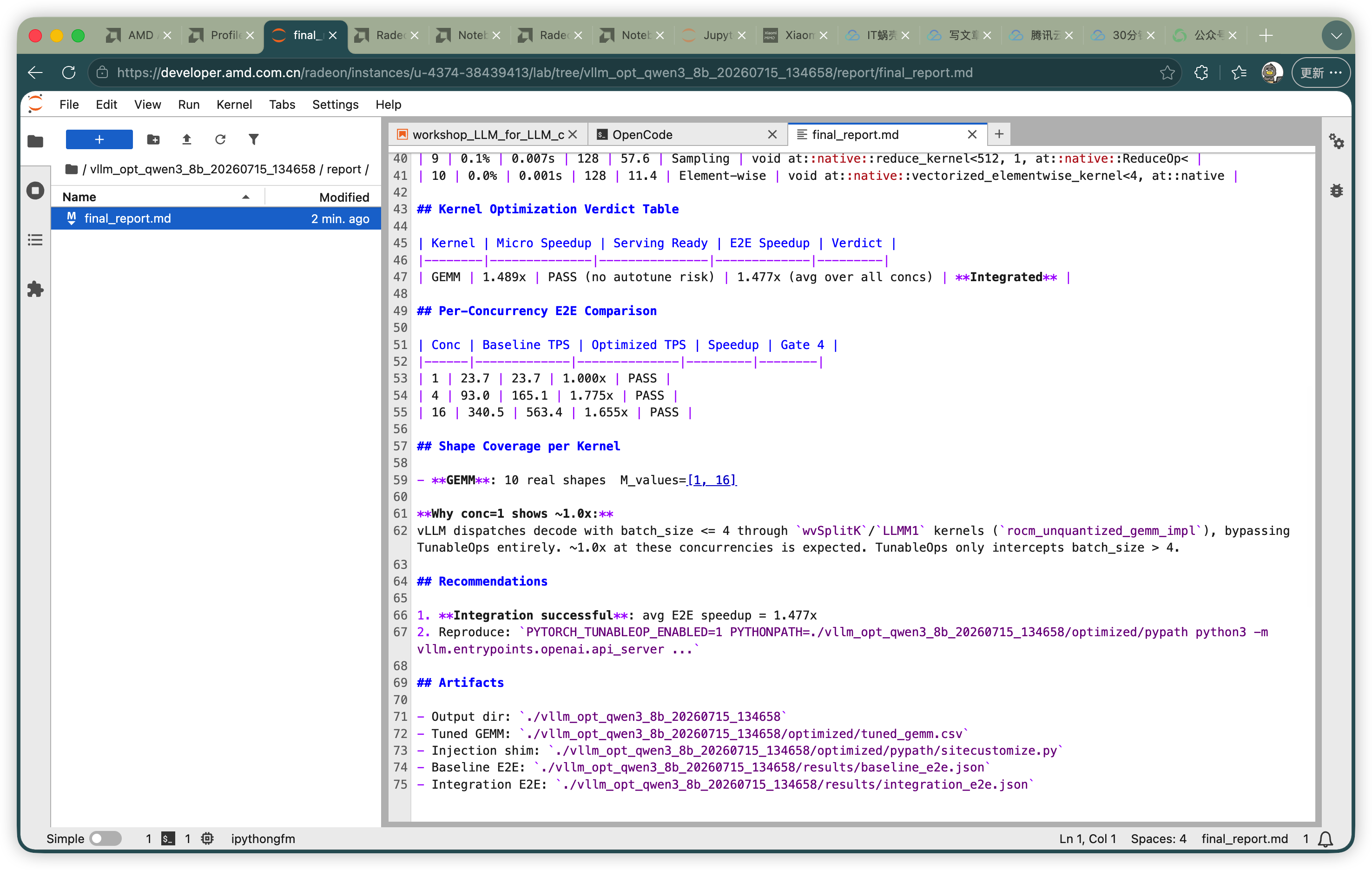 生成的 Markdown 报告
