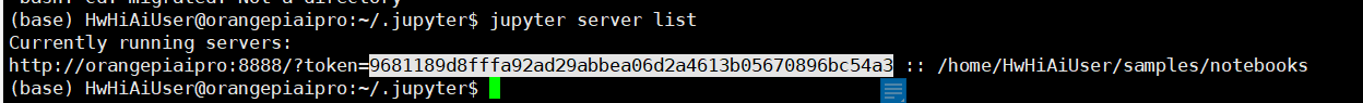 获取 Token OrangePi AIpro 浅上手及搭建卡通图像生成多元化AI服务_开发板_13