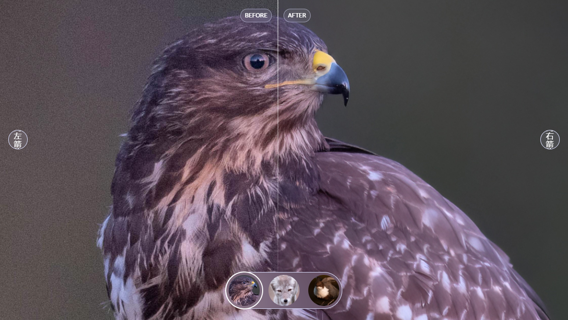 Topaz Photo AI4.0（简体中文汉化版）一款人工智能AI模糊图片变清晰软件_topaz photo ai 4