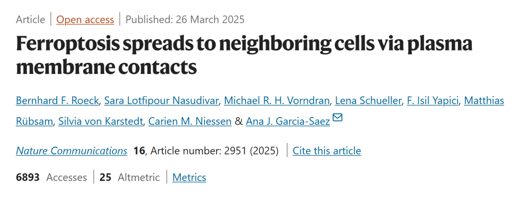 image-20250509234007113