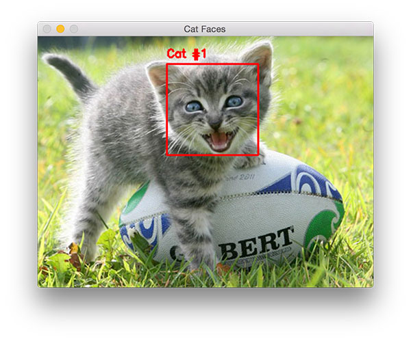 图 2. 使用 OpenCV 检测猫脸的第二个例子，这次猫脸稍有不同。