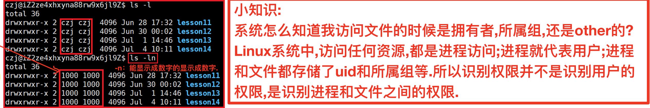 image-20250812214204265
