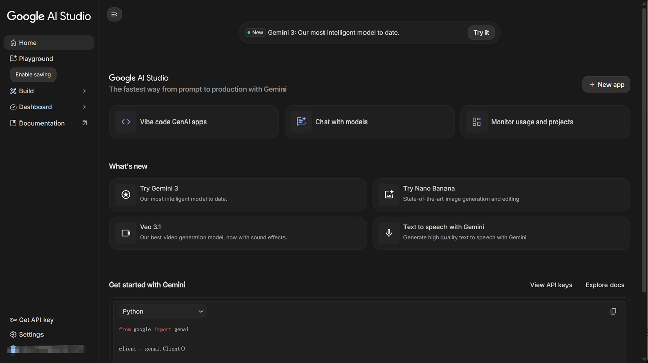 Google AI Studio 主界面
