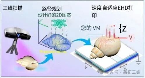 图片17.jpg