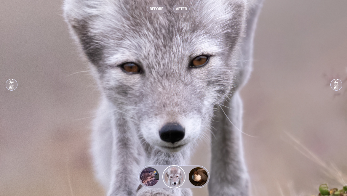 Topaz Photo AI4.0（简体中文汉化版）一款人工智能AI模糊图片变清晰软件_topaz photo ai 4