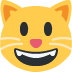 小猫提醒