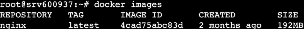 Terminal window with "docker images" command executed and nginx shown in results