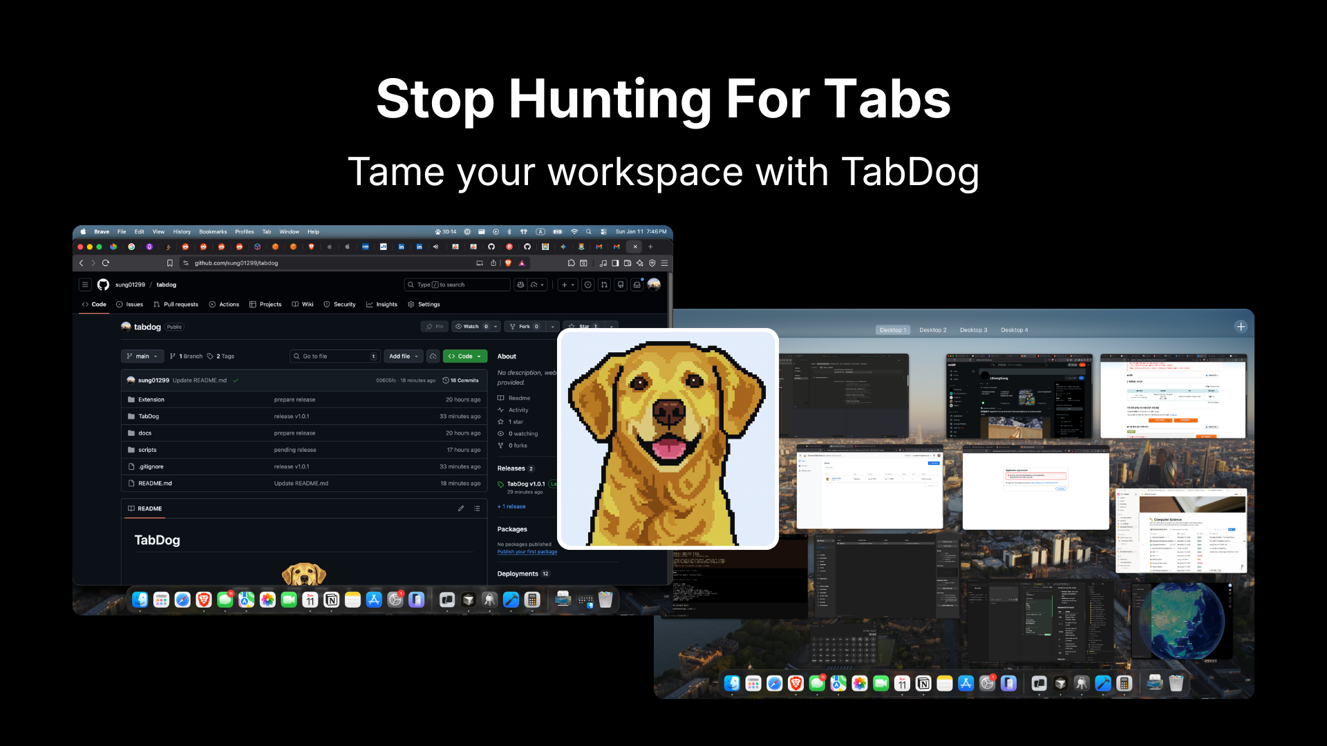 TabDog