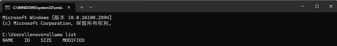 image-20250205143013217