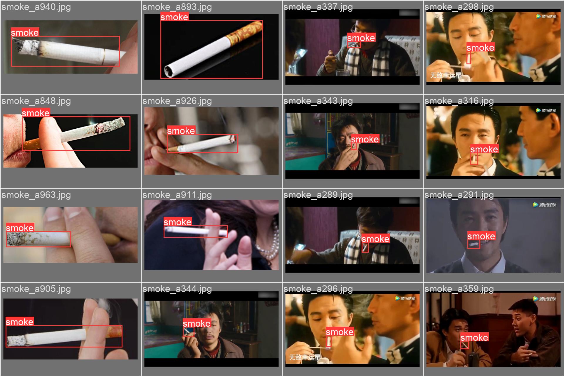 38_dosmoke_detect-val_batch0_labels.jpg