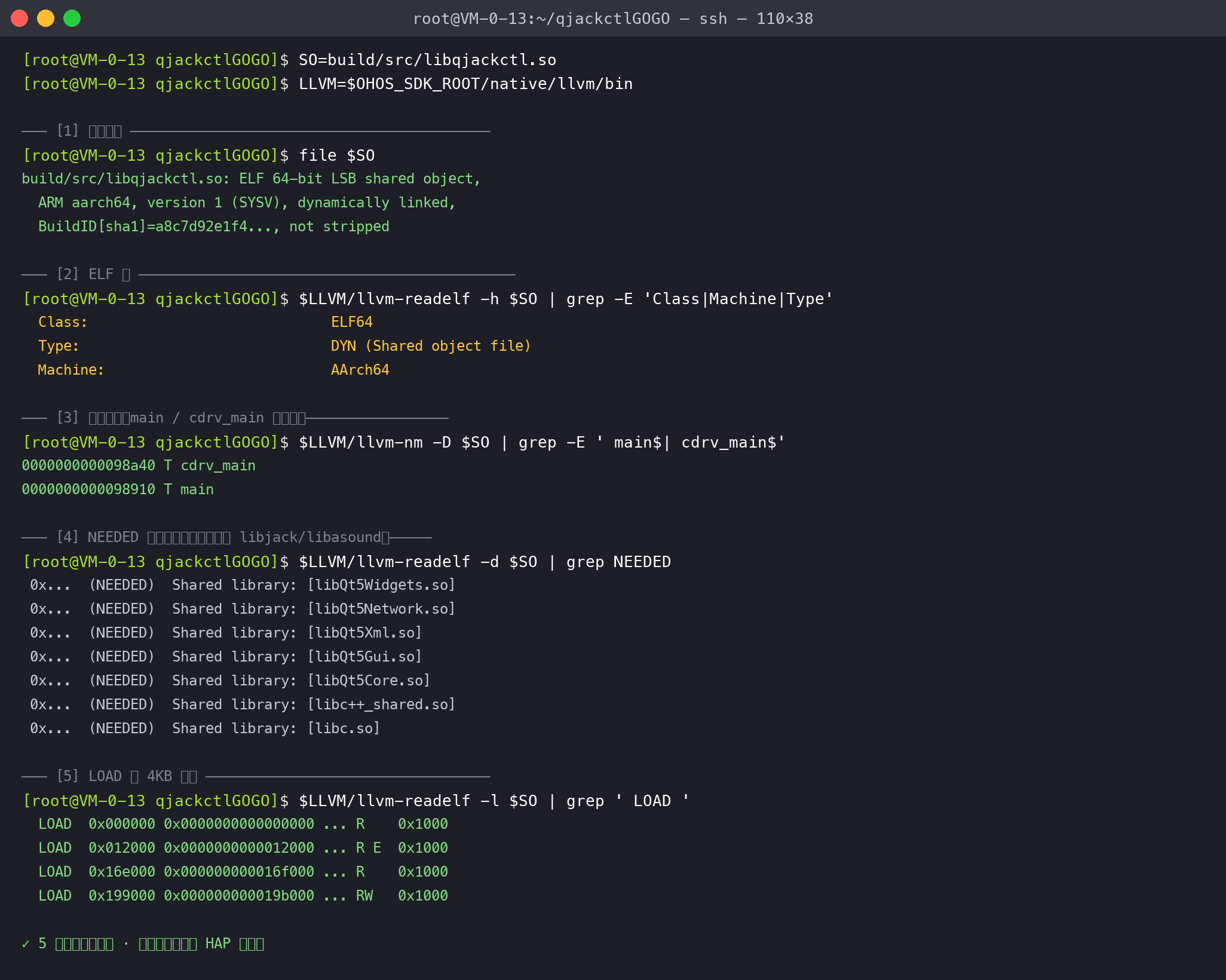 5 项产物体检:T main + T cdrv_main 双入口、4KB 对齐