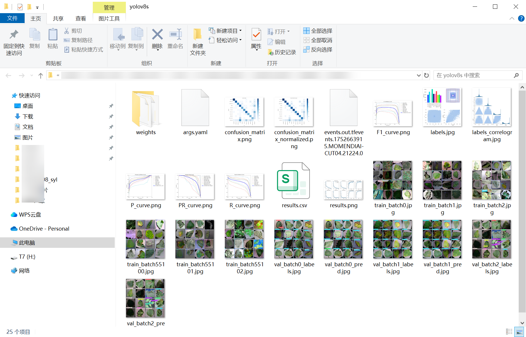 21_tomato_disease-weights_folder_screenshot.png