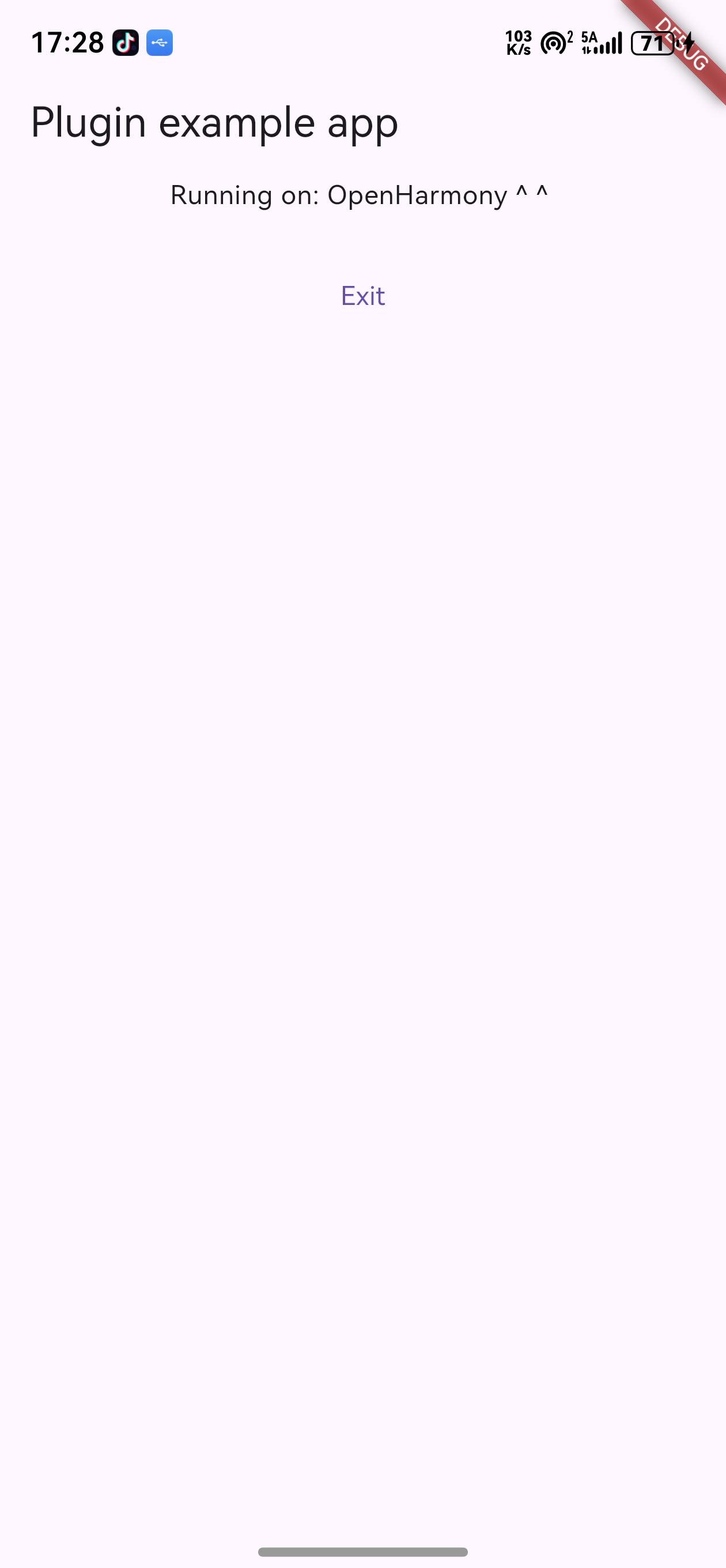 Flutter Exit App 示例