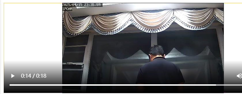 image-20250513195403870