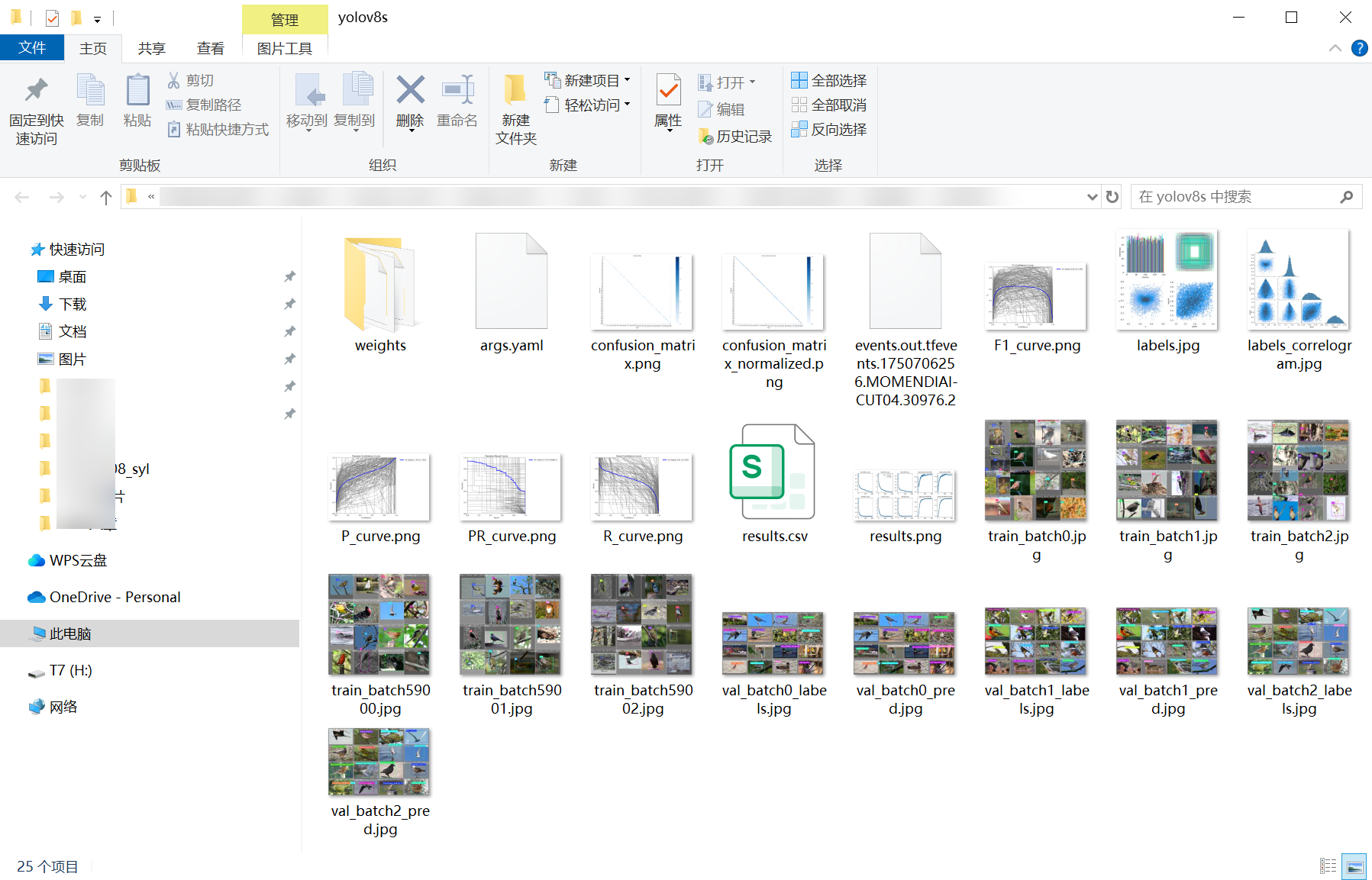 4_brid_detect-weights_folder_screenshot.png