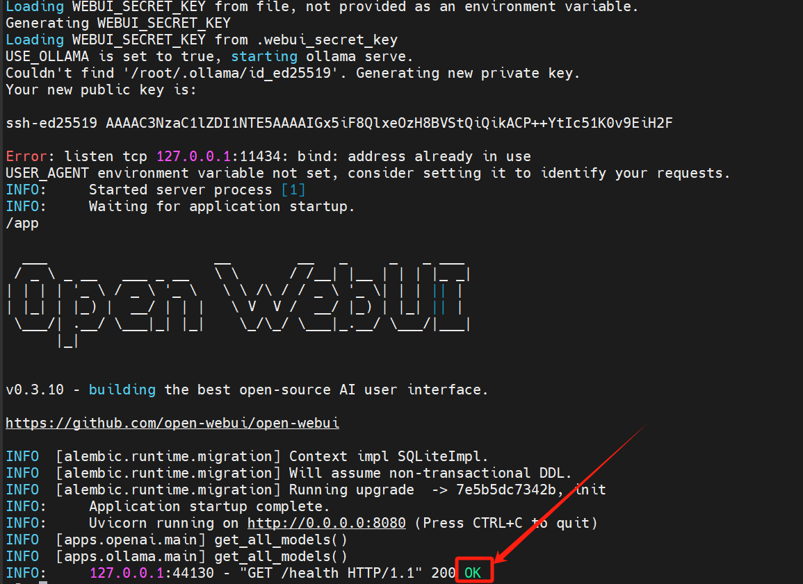 image-20250311110506575