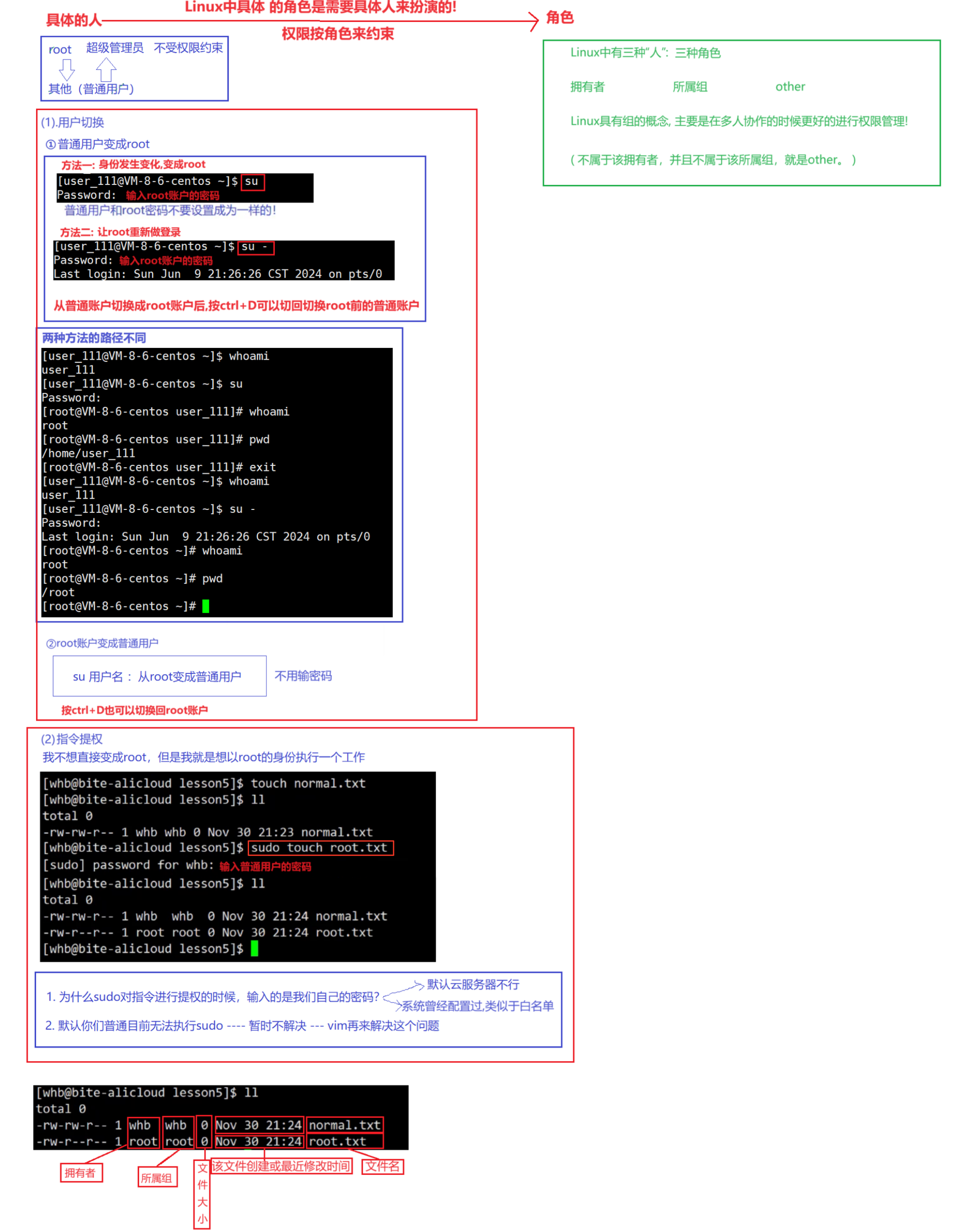 image-20250225131451750