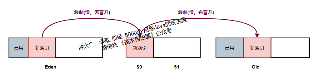 image-20250929131905130