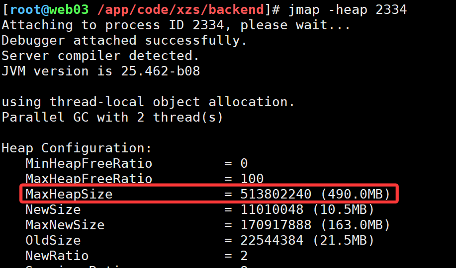 image-20251118101456810