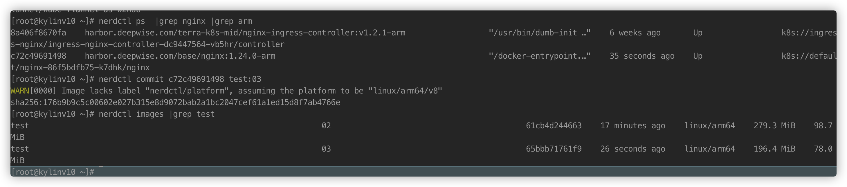 image-20241023103628127