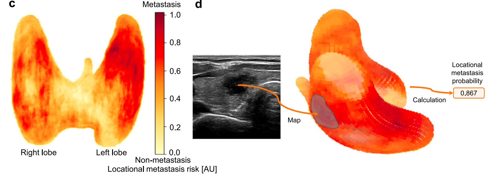 image-20250804200555589