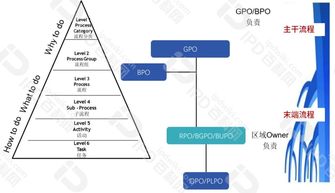 p1.jpg