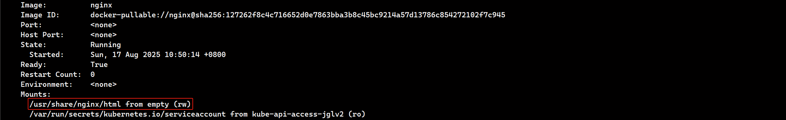 image-20250817110427296