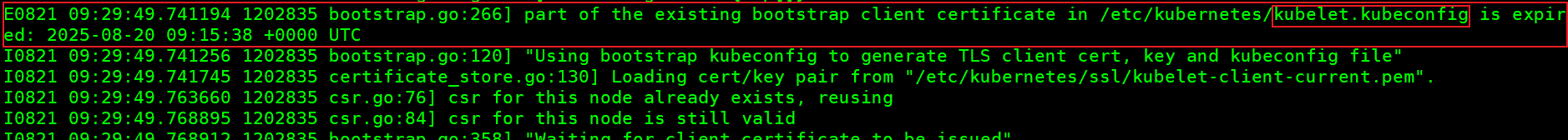 记一次二进制部署kubernetes集群工作节点NotReady处理过程_kubernetes_06