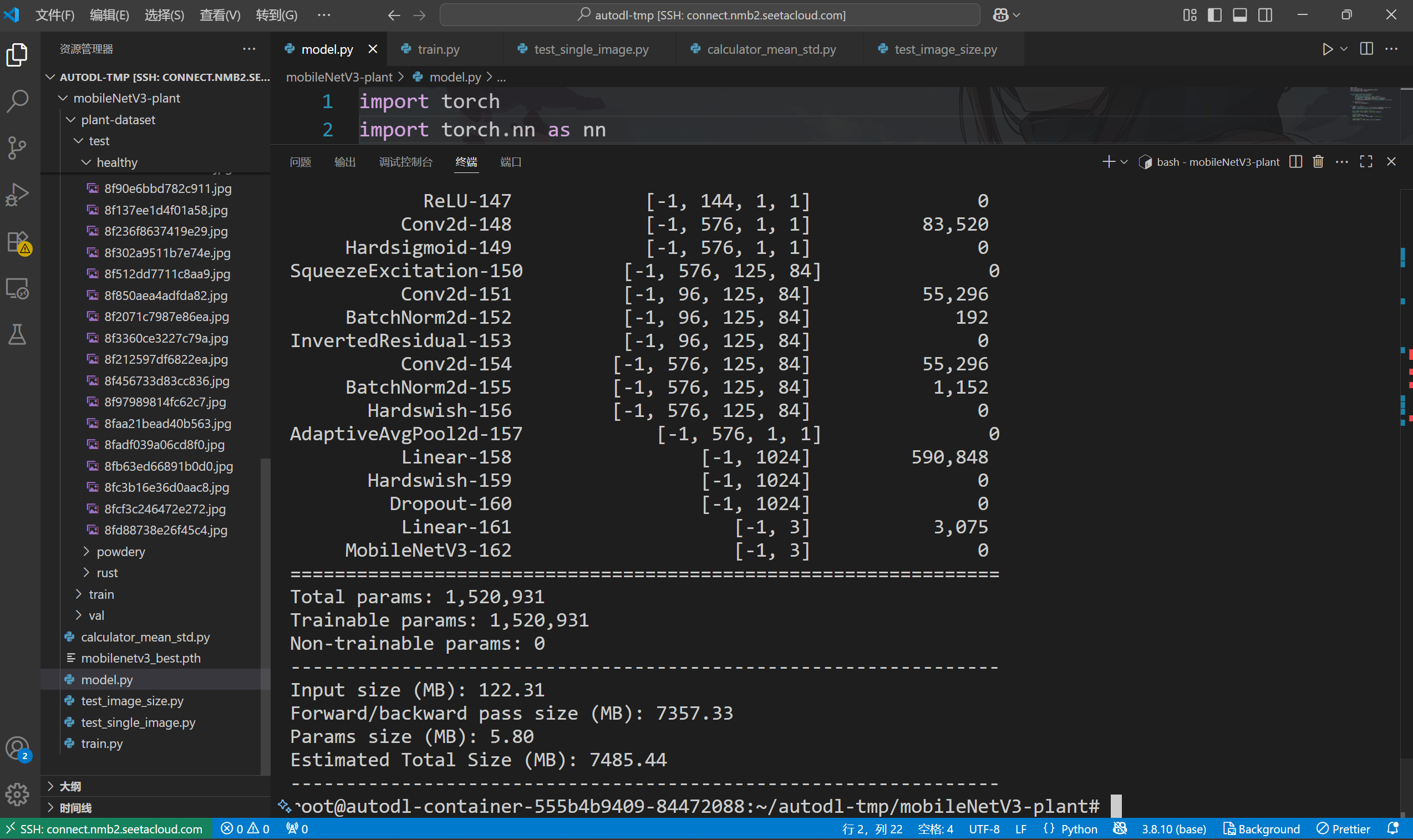 模型大小small版本