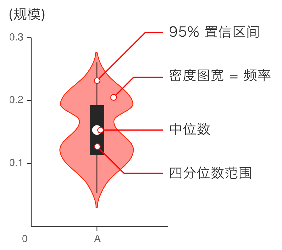 小提琴图结构详解