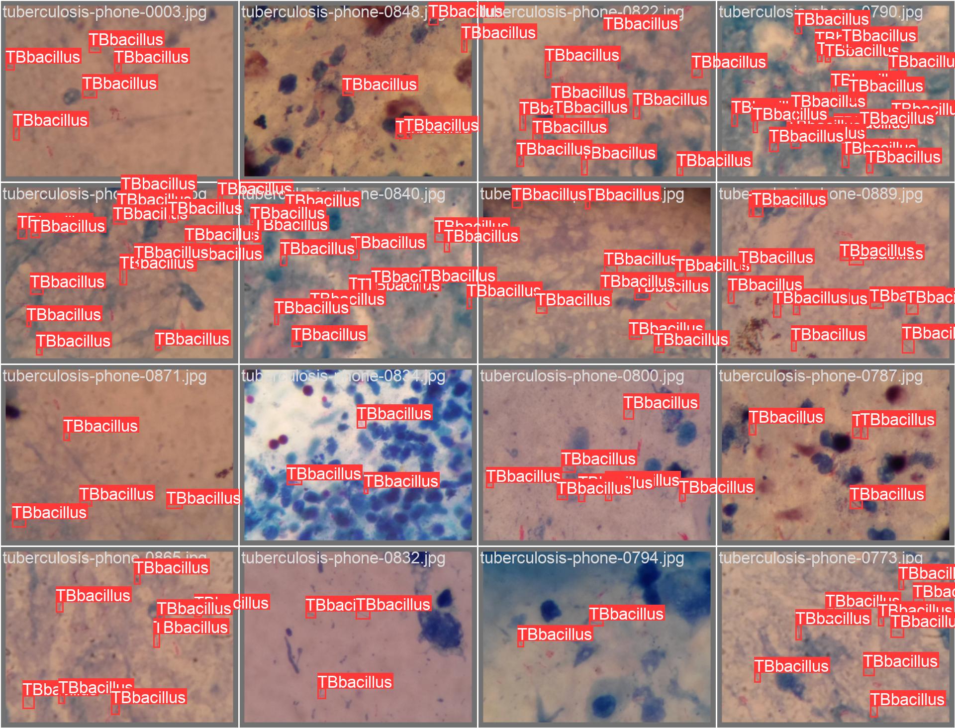 val_batch0_labels.jpg