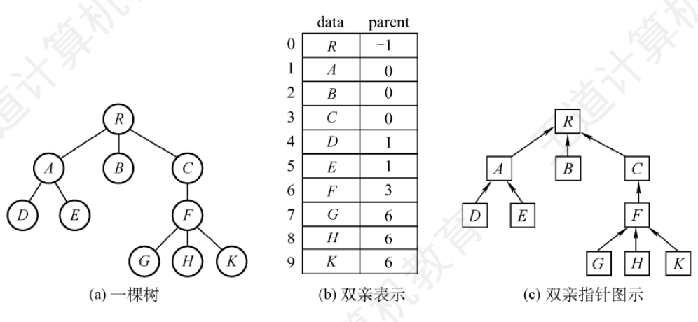 树的双亲表示法