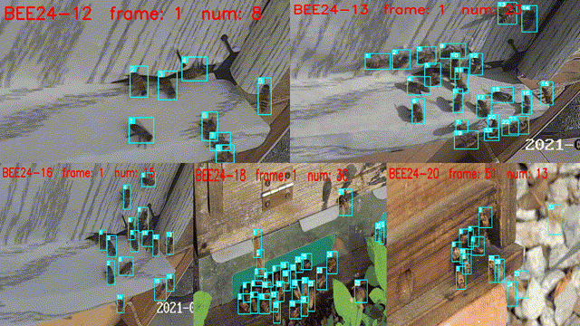 93b51b45ca59de184df251d03c193175.gif