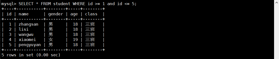 image-20250501195736583