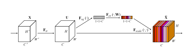 image-20250111194753837