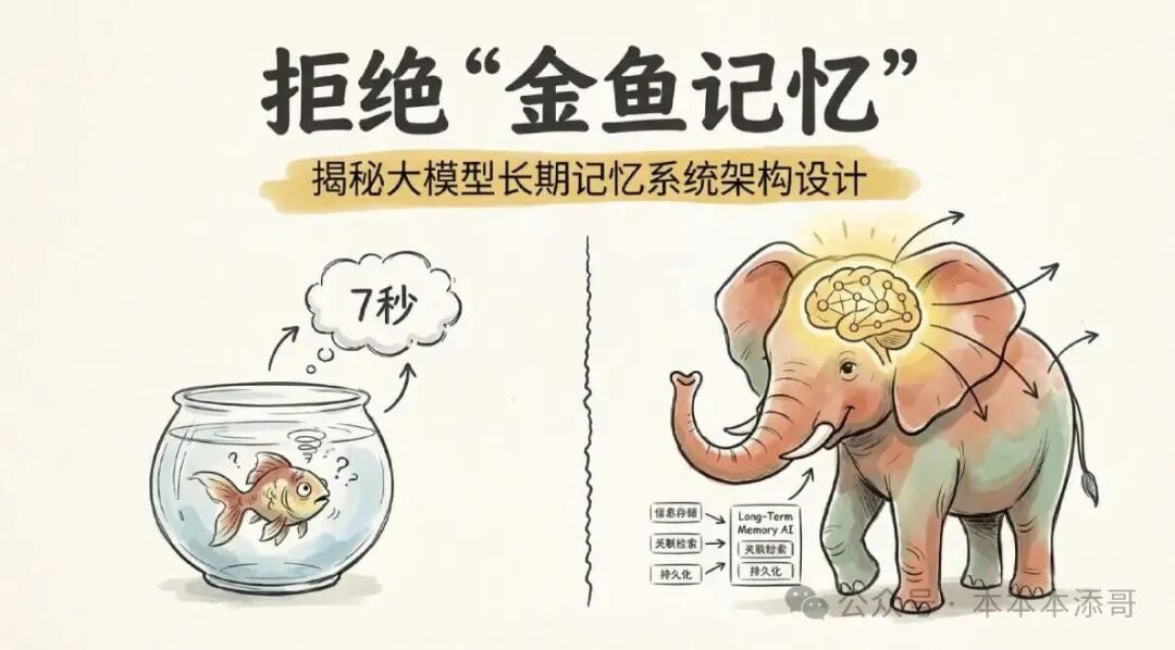 记忆系统架构图