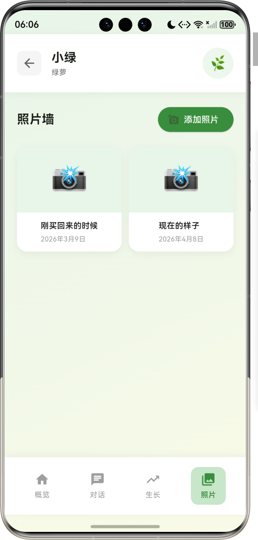 image-20260408180602335