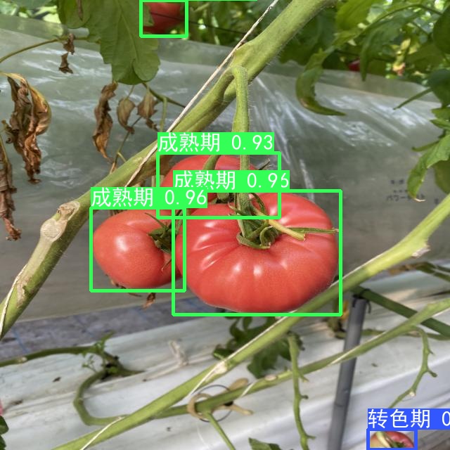 结果保存