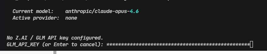 API Key 输入