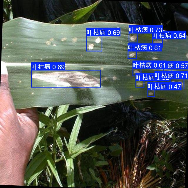 result_6-27-22_20NCLB_20AGRONOMY_PHOTOS_Corn_1924-lowres_jpg.rf.d9279c9005b5f9c43c22b22abc77744e