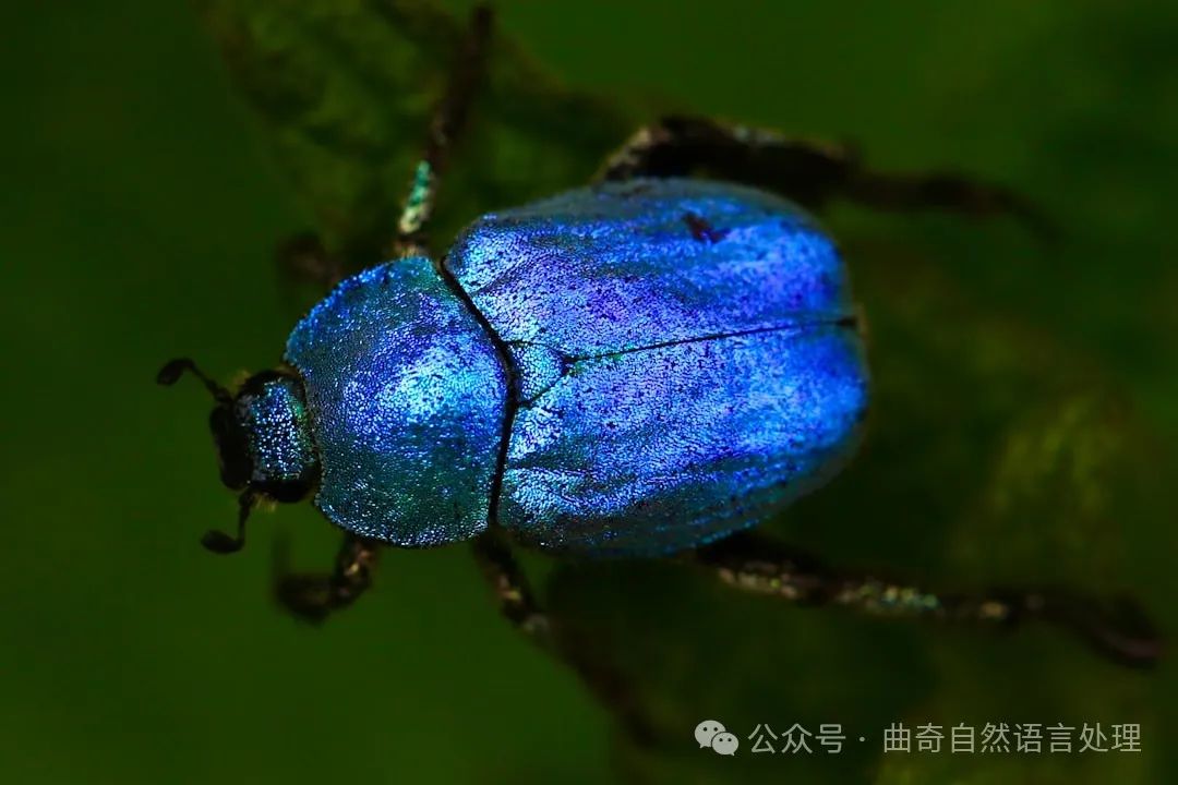macro shot of blue beetle
