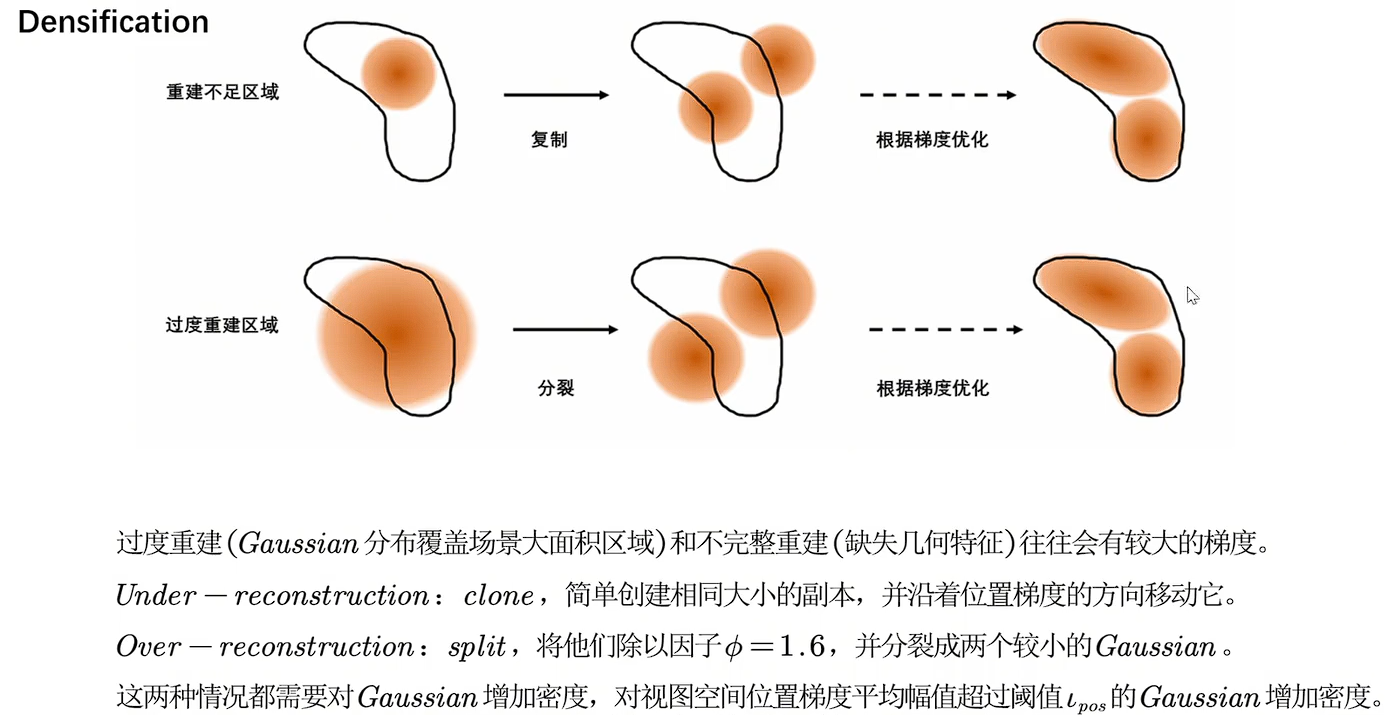 image-20250221172555031
