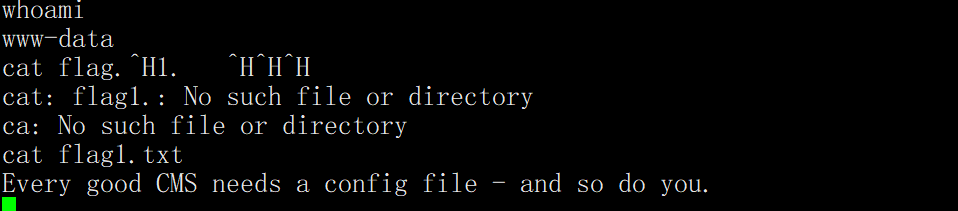 image-20250425173349287