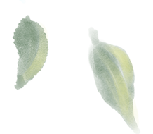 98a95fdbdddd21a90743c061035861b5.png