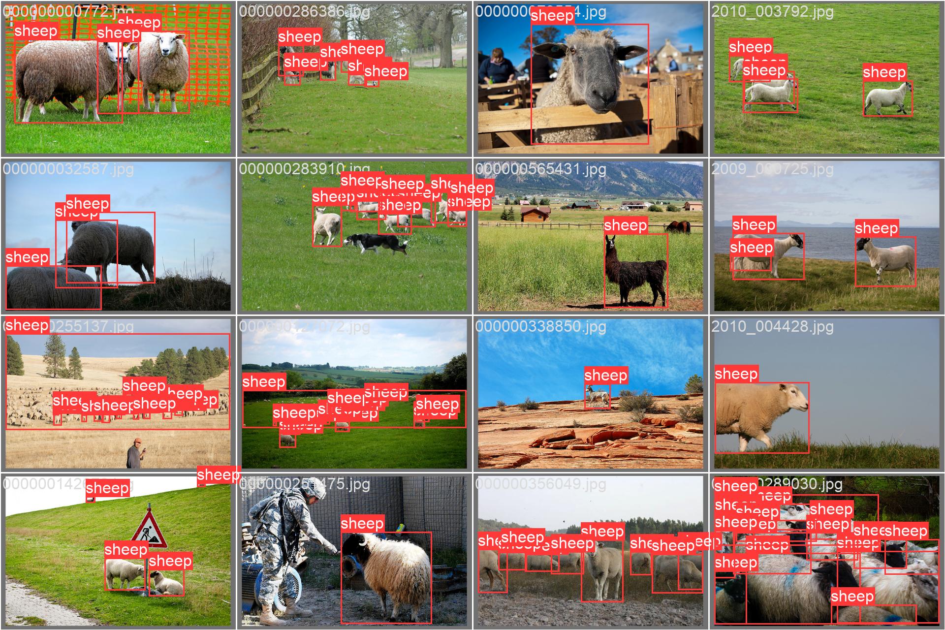 60_sheep_count-val_batch1_labels.jpg