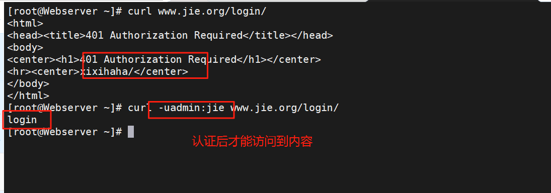 image-20250726124622186
