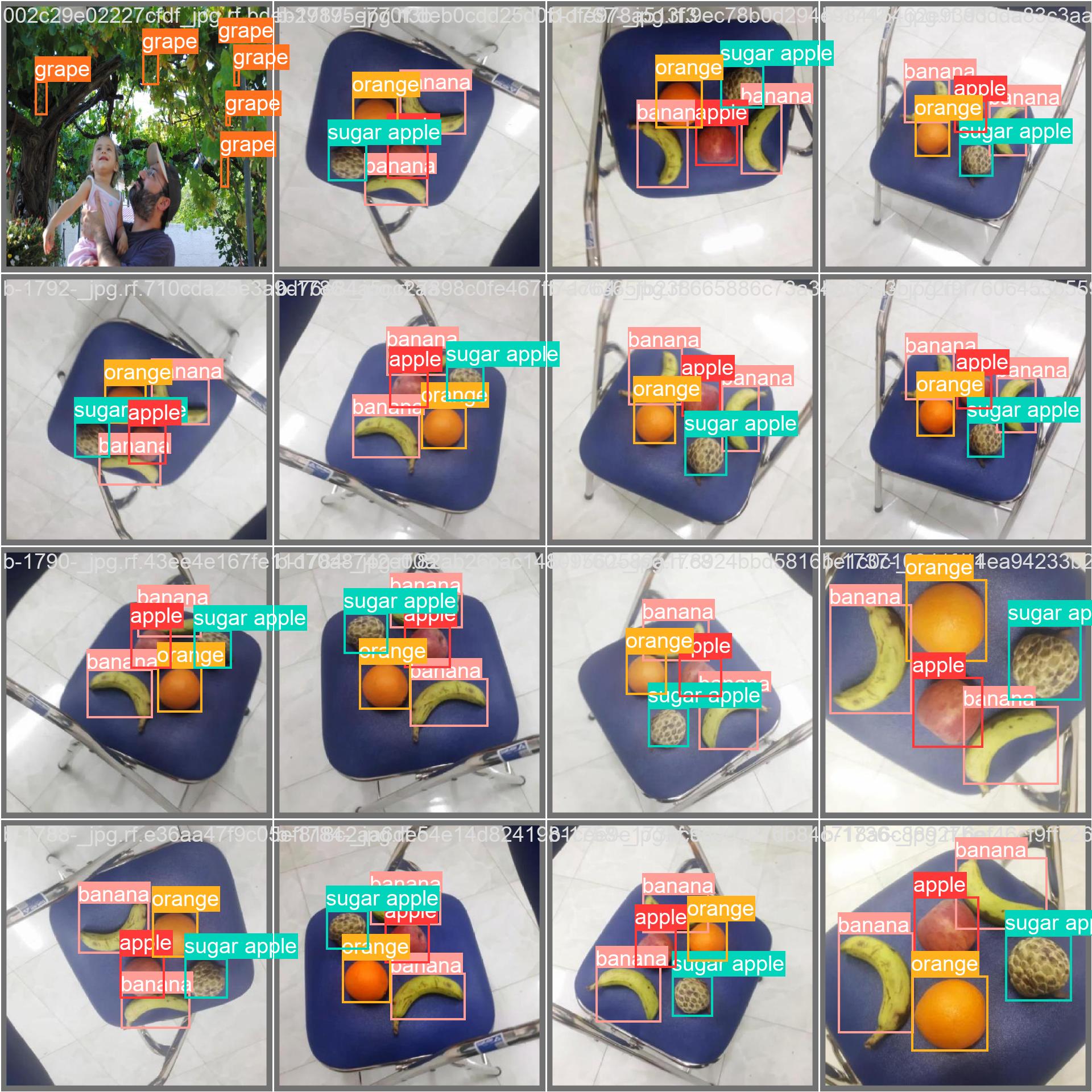 val_batch0_labels.jpg