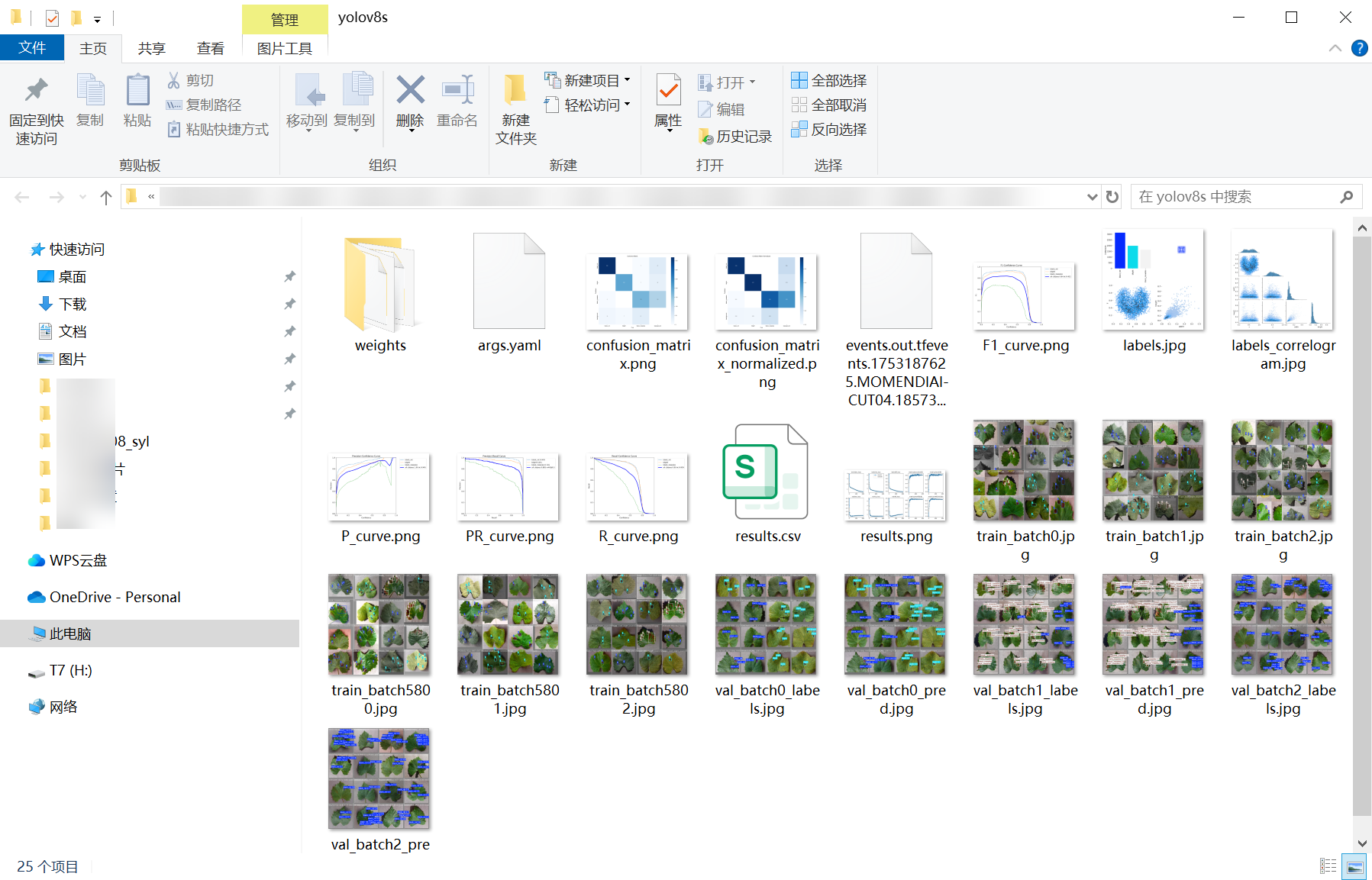 33_grape_disease-weights_folder_screenshot.png