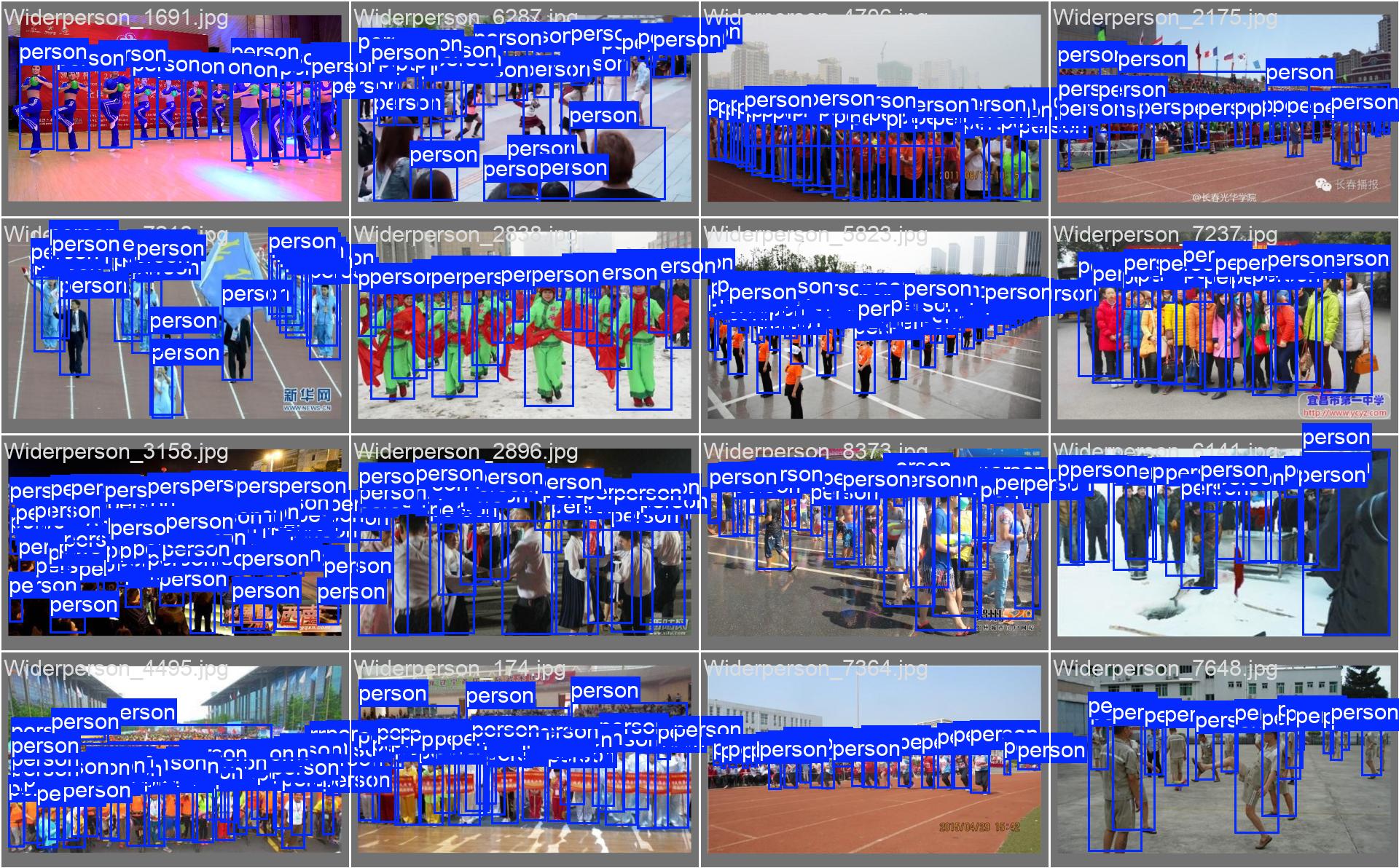 25_person_detect-val_batch1_labels.jpg
